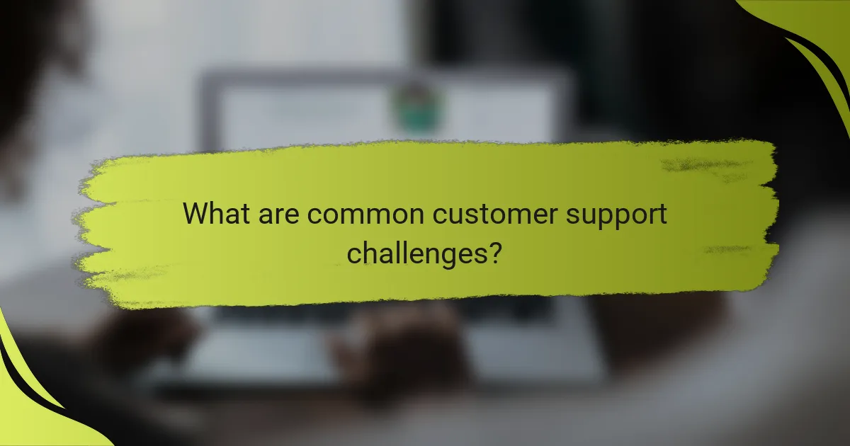 What are common customer support challenges?