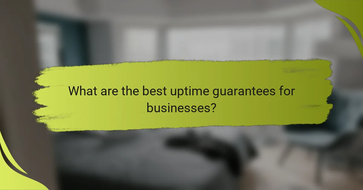 What are the best uptime guarantees for businesses?